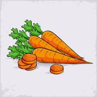 Hand drawn set of healthy organic full and sliced carrots with green leaves on top, rich of vitamins vector