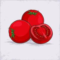 Hand drawn set of full and half sliced fresh healthy red tomatoes with green leaf on top isolated vector