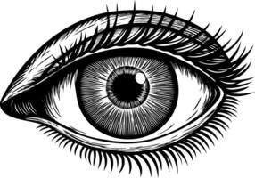Eye iris. eyeball symbol. Human face vintage art. Old sketch view drawing vector