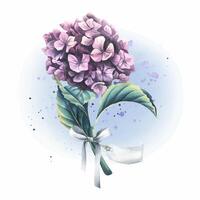 A pink hydrangea flower with a satin bow and a paper tag for the inscription. Watercolor illustration. An isolated object from the WEDDING FLOWERS collection. For the design and design of printing. vector