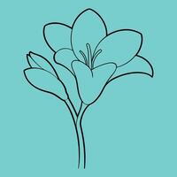 Freesia Flower line art illustrations, ideal for coloring, crafts, and educational materials. Simple fruit outlines for coloring and drawing practice. Great for kids and adults work or project. vector