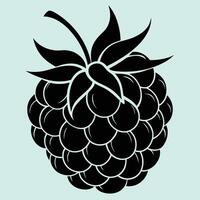 Raspberry fruit silhouette illustrations, ideal for coloring, crafts, and educational materials. Simple fruit outlines for coloring and drawing practice. Great for kids and adults work or project. vector