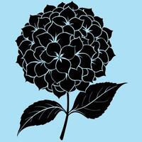 Hydrangea Flower silhouette illustrations, ideal for coloring, crafts, and educational materials. Simple fruit outlines for coloring and drawing practice. Great for kids and adults work or project. vector
