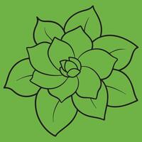 Gardenia Flower line art illustrations, ideal for coloring, crafts, and educational materials. Simple fruit outlines for coloring and drawing practice. Great for kids and adults work or project. vector