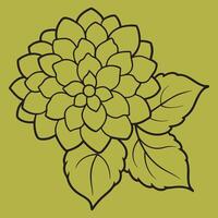 Hydrangea Flower line art illustrations, ideal for coloring, crafts, and educational materials. Simple fruit outlines for coloring and drawing practice. Great for kids and adults work or project. vector