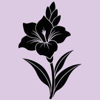 Gladiolus Flower silhouette illustrations, ideal for coloring, crafts, and educational materials. Simple fruit outlines for coloring and drawing practice. Great for kids and adults work or project. vector