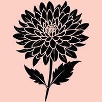 Chrysanthemum Flower silhouette illustrations, ideal for coloring, crafts, and educational materials. Simple fruit outlines for coloring and drawing practice. Great for work or project. vector