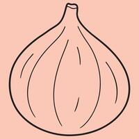 Fig line art illustrations, ideal for coloring, crafts, and educational materials. Simple fruit outlines for coloring and drawing practice. Great for kids and adults work or project. vector