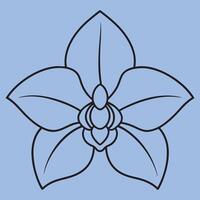 Orchid Flower line art illustrations, ideal for coloring, crafts, and educational materials. Simple fruit outlines for coloring and drawing practice. Great for kids and adults work or project. vector