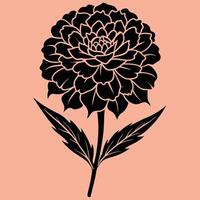 Marigold Flower silhouette illustrations, ideal for coloring, crafts, and educational materials. Simple fruit outlines for coloring and drawing practice. Great for kids and adults work or project. vector