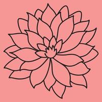 Chrysanthemum Flower line art illustrations, ideal for coloring, crafts, and educational materials. Simple fruit outlines for coloring and drawing practice. Great for kids and adults work or project. vector