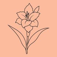 Gladiolus Flower line art illustrations, ideal for coloring, crafts, and educational materials. Simple fruit outlines for coloring and drawing practice. Great for kids and adults work or project. vector