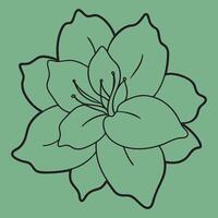 Azalea Flower line art illustrations, ideal for coloring, crafts, and educational materials. Simple fruit outlines for coloring and drawing practice. Great for kids and adults work or project. vector