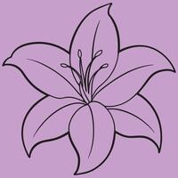 Lily Flower line art illustrations, ideal for coloring, crafts, and educational materials. Simple fruit outlines for coloring and drawing practice. Great for kids and adults work or project. vector