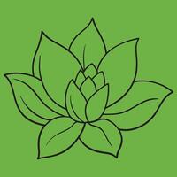 Magnolia Flower line art illustrations, ideal for coloring, crafts, and educational materials. Simple fruit outlines for coloring and drawing practice. Great for kids and adults work or project. vector