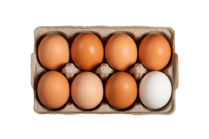 Raw chicken eggs in paper box isolated on transparent background png