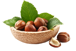 Whole Hazelnut Nut with Shell on Clear Background png