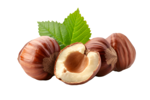 Fresh Hazelnut on Transparent Background Isolated Hazelnut Nut Image png