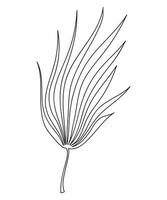 Abstract tropical branch. Sketch palm leaf. Hand drawn floral illustration. vector