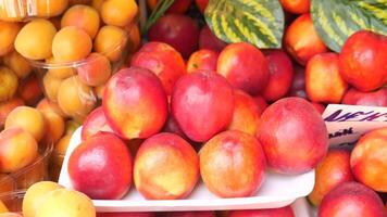 Discover Freshly Picked Nectarines Available at the Local Market Near You Today video