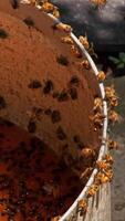Bees and Flies Swarming Around Fermentation Residue in a Bucket video