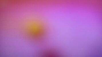 multicolorido gradiente fundo. abstrato borrado fundo com colorido. 4k cheio cor fundo video