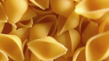 Uncooked Conchiglie Pasta. A Culinary Canvas of Conchiglie Macaroni, Creating a Lively and Textured Background for Gourmet Cooking - Rotating. Turning Dry Pasta. Raw Macaroni - Side Rotation video