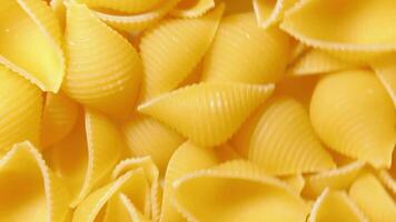 Uncooked Conchiglie Pasta. A Culinary Canvas of Conchiglie Macaroni, Creating a Lively and Textured Background for Gourmet Cooking - Rotating. Turning Dry Pasta. Raw Macaroni - Side Rotation video