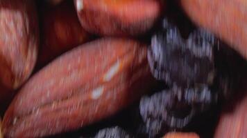 Mixed Nuts. Almonds, Walnuts, Cashews, Peanuts, Hazelnuts, Dried Prunes and Raisins - Rotating, Top View. Different Nut Mix Turning. Background from Various Nuts and Dried Fruits - Side Rotation video