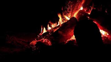 Night Bonfire Burns in the Dark Forest - Slow Motion. Flaming Campfire at Nighttime. Place for Bonfire. Fire Pit Outdoors, Wood on Fire, Flying Sparks and Smoke - Static Shot video