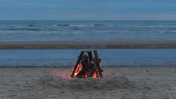 Bonfire on the Beach against a Wavy Sea or Ocean at Evening in a Cloudy Time. Burning Campfire on Sand. Wood on Fire. Place for Bonfire. Fire Pit on Seaside. Signal Fire - Static Shot, Slow Motion video