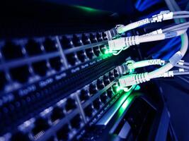 A close up of a network server with multiple ethernet cables photo