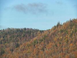 A plane flying over a mountain with trees on it photo