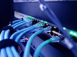 A close up of a network cable with blue wires photo