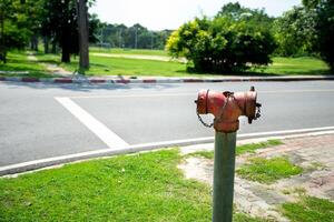 A red fire hydrant sitting on a post in the middle of a road photo