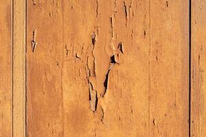 A close up of a wooden wall with peeling paint photo