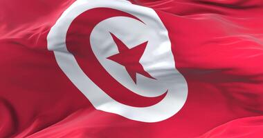 Tunisia flag waving at wind in slow in blue sky, loop video