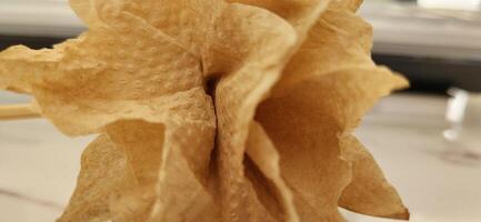 Minimalist decor with natural foliage and organic elements photo