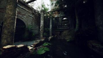 Ruins of an old mansion in Europe surrounded by lush vegetation and water video