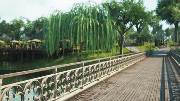 Serene riverside walkway with weeping willow trees in bright daylight video
