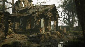 Abandoned stone chapel overgrown with vegetation in a misty forest setting video