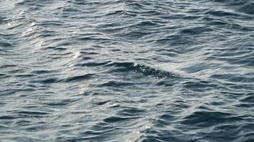 Sea wave close up, low angle view. Abstract background of flow of sea water in sunlight. Blue ocean surface video