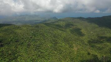 top view of the jungle and blue sky, Mauritius photo