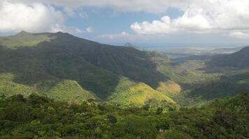 top view of the jungle and blue sky, Mauritius photo
