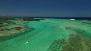 A bird's-eye view of the beautiful coral reef of Mauritius. photo