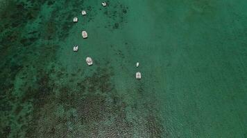 Top view of snow-white catamarans floating on the Indian ocean. Coral reef of the Indian ocean, Mauritius photo