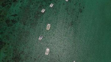 Top view of snow-white catamarans floating on the Indian ocean. Coral reef of the Indian ocean, Mauritius photo