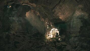 Exploring the mysterious underground cave illuminated by natural light video