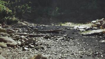 Exploring the rocky landscape of Madagascar during a sunny afternoon video