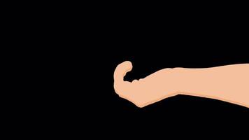 hand gesture animation 2d cartoon style on transparant background video